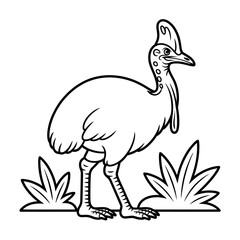 A cassowary bird illustration vector style coloring page 