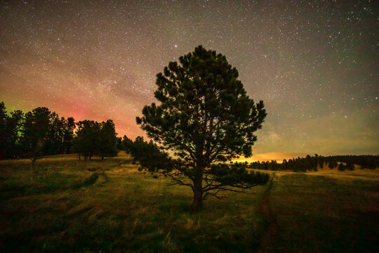 The Black Hills of South Dakota during Aurora Borealis.