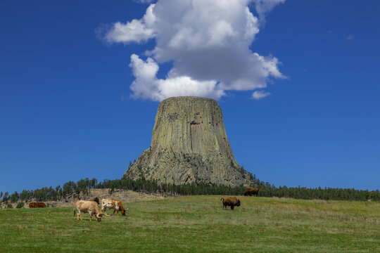 Devel's Tower National Monument, Wyoming, USA