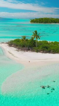 Turquoise waters surround a small island with palm trees on white sand beaches under a clear blue sky, inviting you to escape to this breathtaking tropical paradise captured by a drone