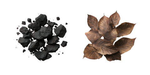 Top-down view, a pile of dark rocks and a cluster of brown leaves against a black backdrop
