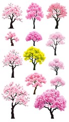 Various Styles White Background Cutout