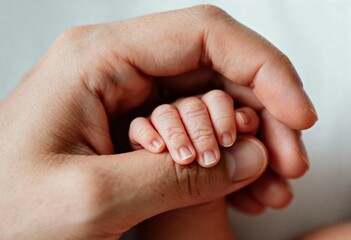 Fototapeta premium Close up of father holding newborn baby hand showing bond, trust and emotional connection.