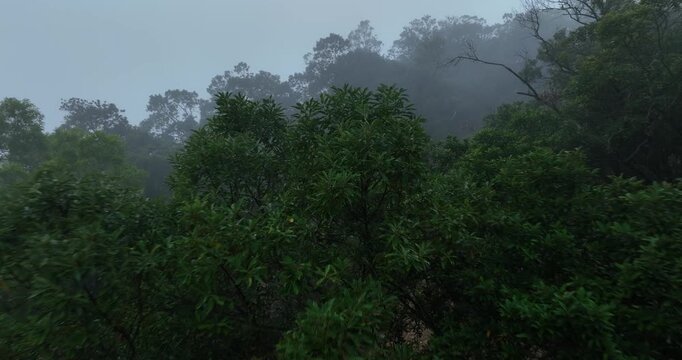 Aerial view of landslide forest mountain after typhoon