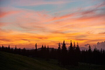 Vibrant sunset fills sky with brilliant shades of orange, pink, and purple, casting warm glow over landscape. Tall pine trees stand in silhouette against colorful horizon, with rolling hills.