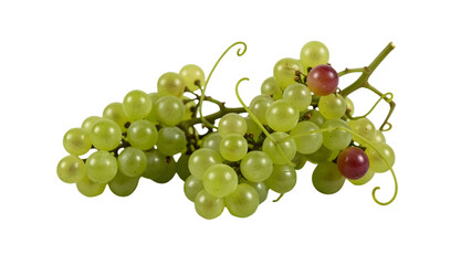 A cluster of green grapes, some with reddish hues, on a black background. Vine stems are visible. Simple, fresh still life