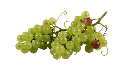 A cluster of green grapes, some with reddish hues, on a black background. Vine stems are visible. Simple, fresh still life