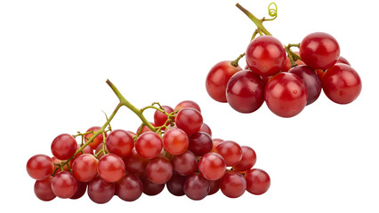 Fototapeta premium Close-up studio shot of two vibrant grape clusters. Juicy, translucent, round fruits attached to green stems. Perfect for culinary or health concepts