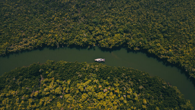 Aerial view of a boat gliding through the dark, winding river, embraced by the dense, vibrant rainforest canopy, Hull Heads, Queensland, Australia.
