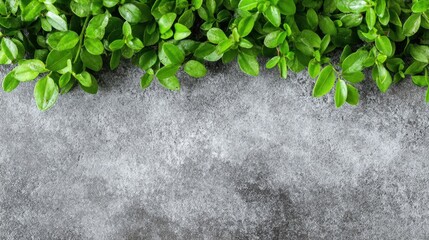 Lush green leaves rest atop a smooth gray surface, contributing a fresh and natural touch. This arrangement can enhance home decor or creative projects, bringing life indoors.