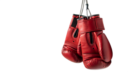 Hanging red boxing gloves on a transparent background