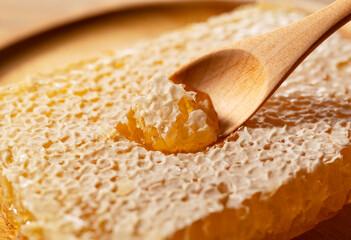Macro Shot of a Wooden Spoon Scooping Fresh Raw Honey from an Organic Honeycomb