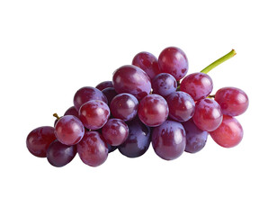 Fototapeta premium Vibrant cluster of deep red, translucent berries on a delicate stem