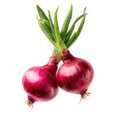 Fresh red onion with green tops and droplets