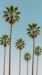 Obraz premium Serene palm trees under sky mobile wallpaper