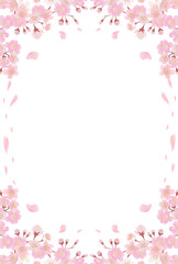Cherry Blossom Border Frame with Falling Petals on White Background - Sakura Flowers