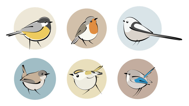 1691_Vector set of wild colorful birds