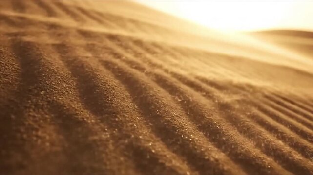 Desert Wind Patterns Wide shot showcasing wind creating ephemeral patterns on vast desert dunes.
