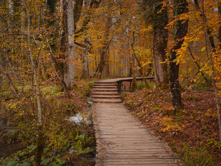 Obraz premium Wooden walkpath in Plitvice National Park. Splendid autumn in forest with pure water lake. Picturesque landscape of Croatia, Europe. Beauty of nature concept background.