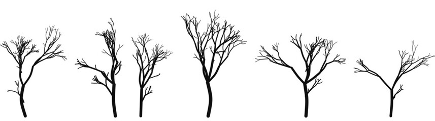 Five black bare tree silhouettes on white background