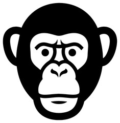 Close-up of a monkey's face