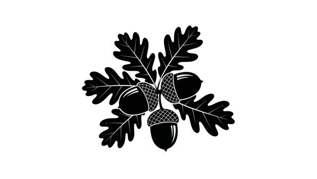 Illustration of oak leaves and acorns on a white background.