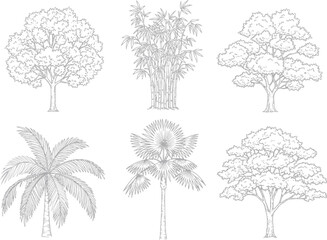 Fototapeta premium Botanical line drawings of different tree species including palm, bamboo, and oak