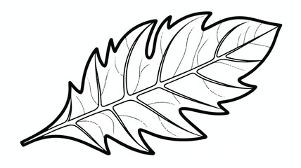 Fototapeta premium line drawing of a tropical leaf with many pointed segments