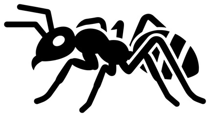 Fototapeta premium Black ant carrying food