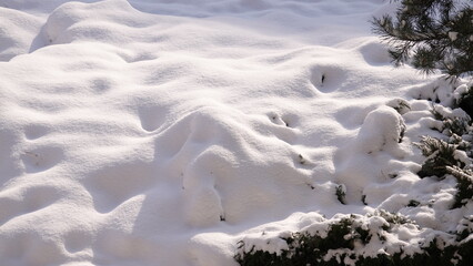 Gruba pokrywa śnieżna pokrywająca ziemię. © tomo81