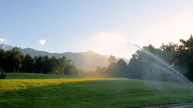 Green grass is being watered by sprinklers at a golf course during a sunny afternoon in summer.