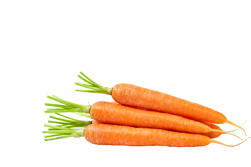 Fresh Carrots with Green Tops Isolated on White