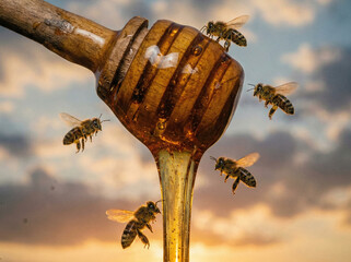 Golden honey dripping from a wooden dipper with honeybees flying in the sunlight.