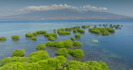 Gili Islands: aerial view small tourist boat sailing clear turquoise sea with green mangrove...
