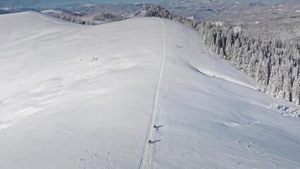 Two snowmobiles driving up a snowy mountain ridge, leaving fresh tracks in snow, with coniferous forest beside them and snow-covered peaks in the background. Winter wild nature travel background