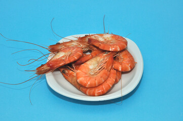 Tropical shrimp on blue background