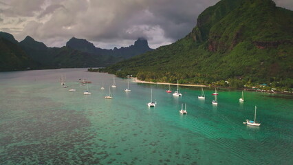 Moorea island's Opunohu Bay presenting numerous sailboats anchored in a clear turquoise lagoon, surrounded by lush tropical mountains and a sandy beach shoreline with palm trees