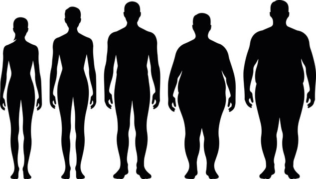 Male Body Shape Silhouette Collection Showing Slim to Heavy Types, Human Figure Icons for Health, Lifestyle Comparison and Infographic Design