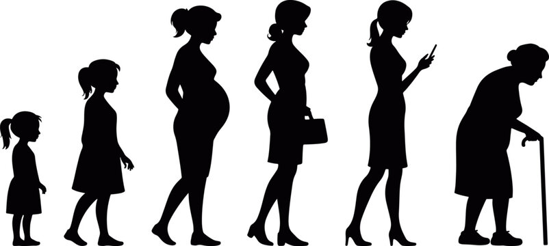 Woman Life Cycle Silhouette Illustration Showing Growth and Aging Stages, female life stages silhouette icon set age progression, woman growth and aging figure silhouettes
