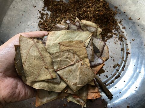 A close up photo of the hands of a woman working in the beedi industry, a small business that produces in Asian countries.