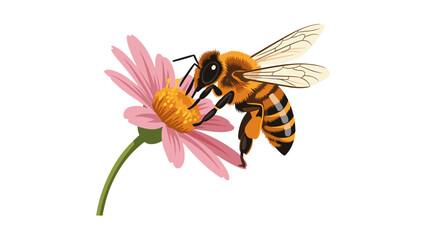 Honey Bee Collecting Nectar from Pink Flower