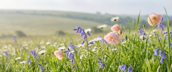 A serene meadow filled with colorful wildflowers, including daisies and bluebells, set against a gentle hillside backdrop.