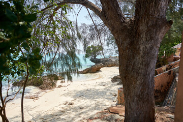 Prison Island Sansibar Tansania