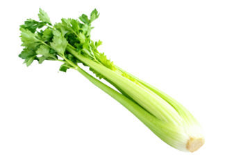 Fresh Celery Stalk with Green Leaves Isolated