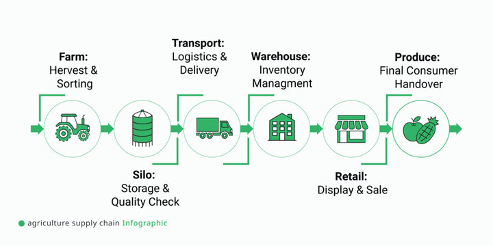 Agricultural supply chain infographic detailing farm to consumer logistics process involving harvest sorting storage transport and retail distribution
