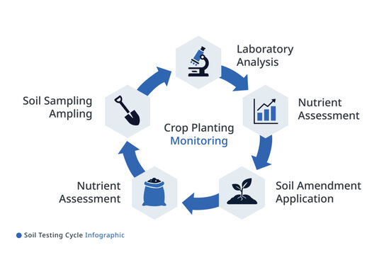 Soil testing cycle infographic showing sampling analysis amendment and nutrient assessment steps