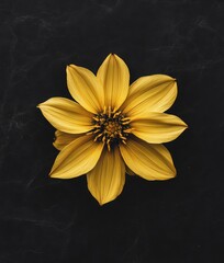 Detailed Macro Illustration of a Single Vibrant Yellow Starflower Isolated on a Dark Textured Background
