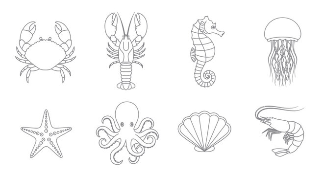 Collection of Outline Marine Life and Seafood Icons