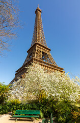 Eiffel Tower and Field of Mars in spring, Paris, France