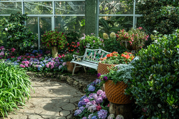 Obraz premium Beautiful flowers in the park of an ancient temple against the backdrop of a blue sky in the vicinity of Chiang Mai